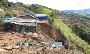 Chậm nhất tháng 9 phải bố trí đất, xây dựng lại nhà ở cho các hộ bị mất nhà do thiên tai