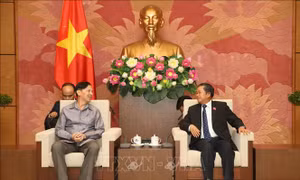 Phó Chủ tịch Quốc hội Đỗ Bá Tỵ tiếp Đoàn đại biểu Viện Nghiện cứu pháp luật Quốc hội Lào