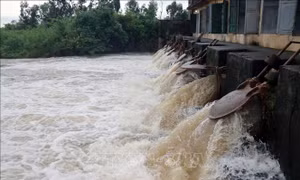 Hải Phòng khẩn trương tiêu úng, bảo vệ hơn 14.000 ha cây trồng bị ngập