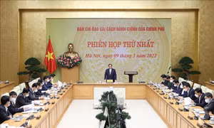 Ban hành Quy chế hoạt động của Ban Chỉ đạo cải cách hành chính của Chính phủ