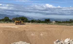 Ninh Thuận: Đề nghị tạm dừng giao dịch tài sản với cán bộ huyện liên quan tới sai phạm đất đai