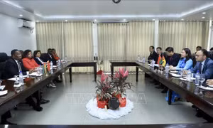 Phát triển mối quan hệ tốt đẹp giữa Đảng Cộng sản Việt Nam và Đảng FRELIMO, Mozambique