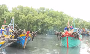 Khắc phục 'thẻ vàng' IUU: Đồng Tháp quản lý chặt đội tàu khai thác