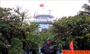 Sắc xanh ở Trường Sa