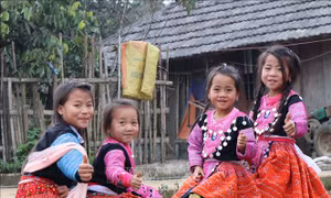 Chuẩn bị các điều kiện triển khai Luật Dân số