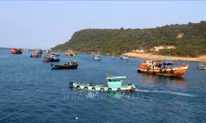 Giao khu vực biển và cấp phép nuôi trai ngọc cho nhà đầu tư, doanh nghiệp