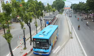 Tăng cường 20 tuyến buýt phục vụ Triển lãm 80 năm ngày Quốc khánh