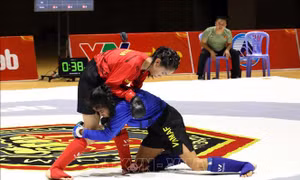 195 võ sĩ trẻ tranh tài tại Giải vô địch MMA quốc gia 2026