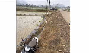 Làm rõ hành vi báo tin giả về việc bị cướp tài sản
