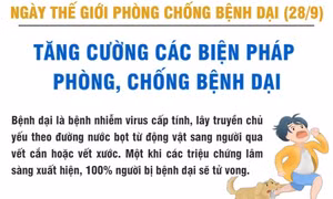 Tăng cường các biện pháp phòng, chống bệnh dại