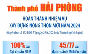 Thành phố Hải Phòng hoàn thành nhiệm vụ xây dựng nông thôn mới năm 2024