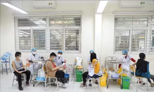Không để bị động trước những diễn biến mới của dịch COVID-19