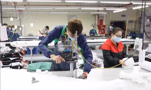 Hài hoà chính sách để đảm bảo mở cửa nền kinh tế và phòng dịch 