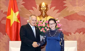 Chủ tịch Quốc hội Nguyễn Thị Kim Ngân tiếp Đoàn Đảng XHCN Thống nhất Venezuela
