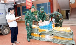 Thu giữ 400 kg nầm lợn nhập lậu không đảm bảo vệ sinh an toàn thực phẩm