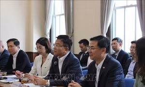 Phó Thủ tướng Lê Thành Long tiếp các đối tác Nhật Bản