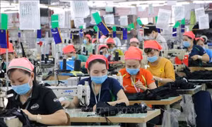 Đảm bảo quyền lợi cho người lao động trong thực hiện chế độ thưởng Tết