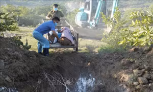 Khẩn trương khoanh vùng, khống chế dịch tả lợn châu Phi