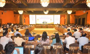 Quảng Ninh phát huy các giá trị văn hóa, con người, tạo nguồn lực phát triển nhanh, bền vững
