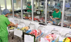 Khi nào chấm dứt thời kỳ cơ cấu dân số vàng ở Việt Nam?