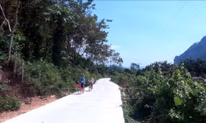 Bình yên trên bản Mông vùng cao Tuyên Quang