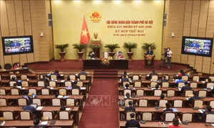 Hỗ trợ phòng, chống COVID-19 đúng người