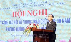 Đẩy mạnh hoạt động đối ngoại nhân đạo, sáng tạo trong vận động nguồn lực