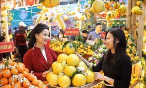 Ấn tượng vẻ đẹp vùng cây ăn quả của Bắc Ninh