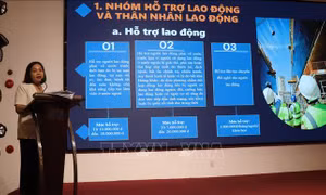 Đào tạo nguồn nhân lực có kỹ năng làm việc trong môi trường quốc tế