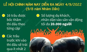 Lễ hội chọi trâu truyền thống Đồ Sơn năm 2022