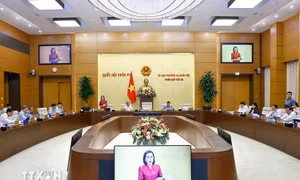 Quy định về quản lý cán bộ đối với đại biểu Quốc hội chuyên trách