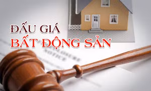 Đồng Nai đấu giá thành công lô đất đầu tiên sau 5 năm