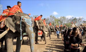 Xây dựng 34 chương trình tour du lịch phục vụ Lễ hội Cà phê Buôn Ma Thuột