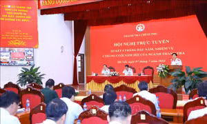 Xử lý nghiêm tình trạng nhũng nhiễu, gây phiền hà cho người dân và doanh nghiệp