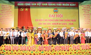 Đẩy mạnh các phong trào thi đua yêu nước thiết thực trong nông dân