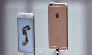 Hàng nghìn người dùng iPhone tại Hàn Quốc thua kiện