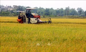 Thêm trụ đỡ cho nông dân phát triển nông nghiệp hiện đại