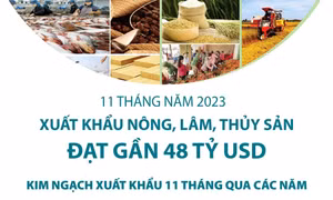 11 tháng năm 2023: Xuất khẩu nông, lâm, thủy sản đạt gần 48 tỷ USD