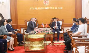 Hà Nam tạo điều kiện tối đa cho các doanh nghiệp Cộng hòa Czech tìm hiểu, đầu tư