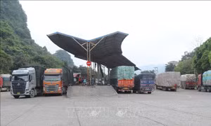 Điều chỉnh thời gian thông quan hàng ngày qua lối thông quan Cốc Nam, Lạng Sơn