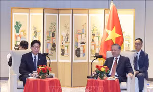 Tổng Bí thư Tô Lâm tiếp Thị trưởng thành phố Busan (Hàn Quốc)