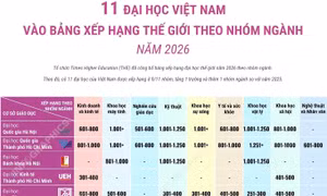 11 đại học Việt Nam vào bảng xếp hạng thế giới theo nhóm ngành