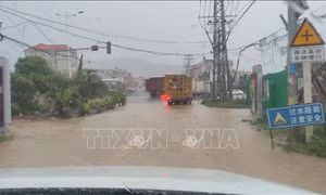 Bão Haikui gây thiệt hại ở Đông Nam Trung Quốc