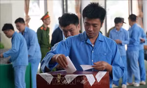 Thể hiện sinh động quyền làm chủ, sự gắn kết giữa ý Đảng với lòng dân