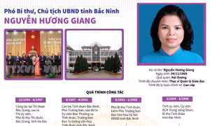 Bà Nguyễn Hương Giang được bầu giữ chức Chủ tịch UBND tỉnh Bắc Ninh