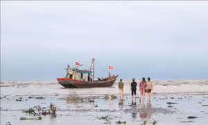 Cửa biển Lạch Vạn bị bồi lắng, tàu đánh cá công suất lớn liên tục bị mắc cạn ​