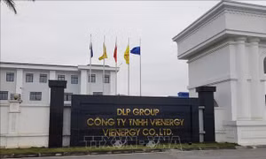 Công đoàn tích cực đồng hành giải quyết kiến nghị của công nhân ngừng việc tập thể