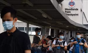 Bốn yếu tố, một mục tiêu