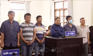 Tuyên phạt 6 bị cáo tại Trung tâm đăng kiểm 85 - 02D hơn 10 năm tù