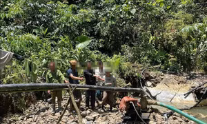 Phát hiện 9 đối tượng khai thác vàng trái phép dưới lòng suối